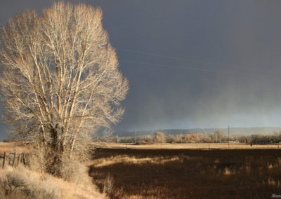 January picture of a winter storm on Highway 12 west of Ryegate, Montana. Image is from the Ryegate Montana Picture Tour.