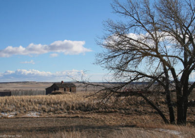 January picture of an abandoned farmhouse near Highway 300. Image is from the Ryegate Montana Picture Tour.