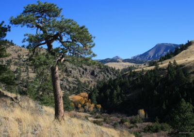 October view of the Gates of the Mountains Wilderness from Willow Creek in the Beartooth Wildlife Management Area north of Helena, Montana.